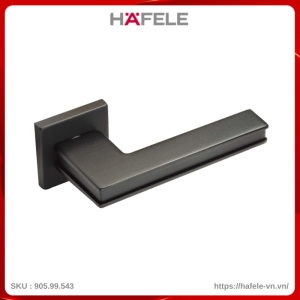Tay Nắm Gạt Cửa Phòng Hafele 905.99.543